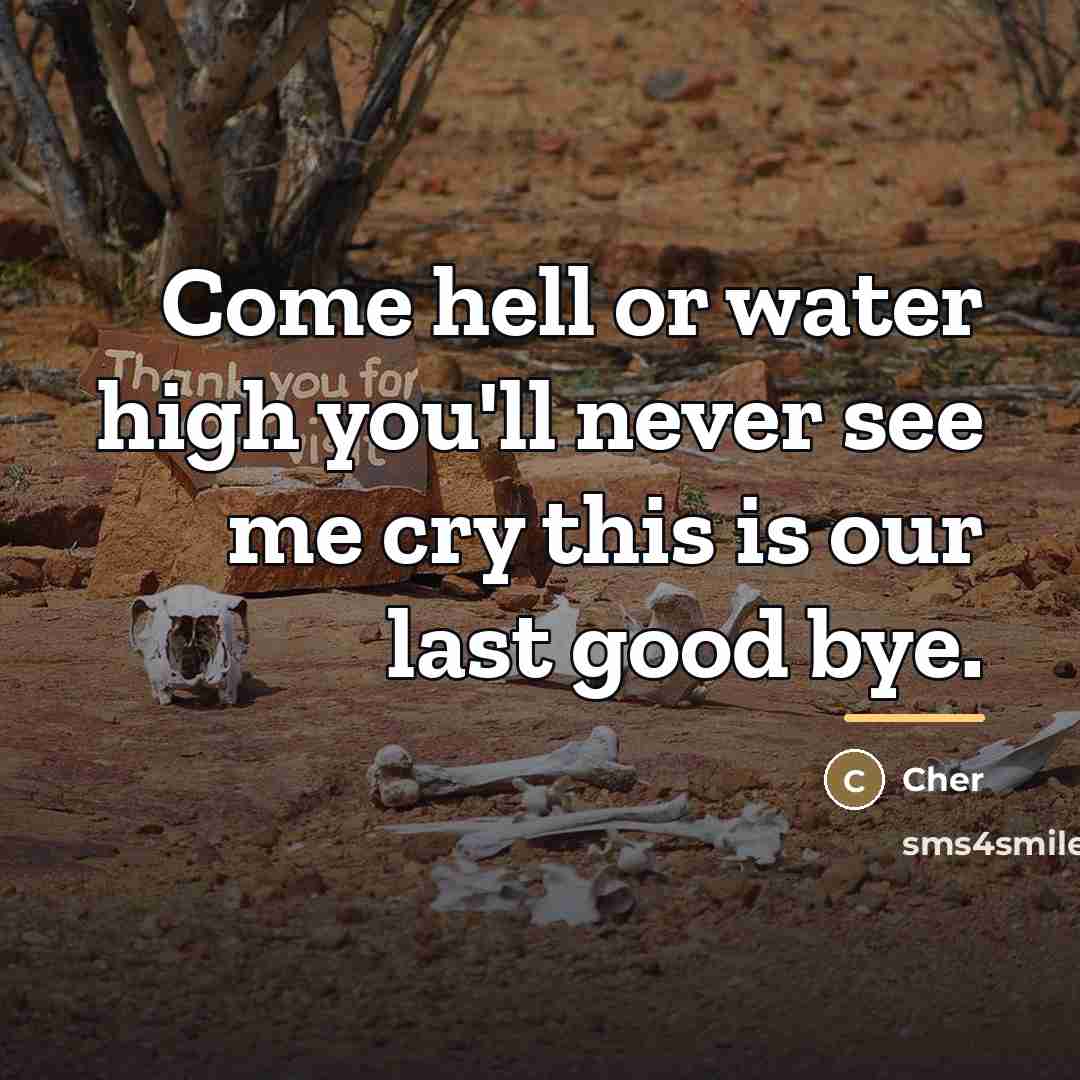 “Come hell or water high you'll never see me cry…” quote by Cher
