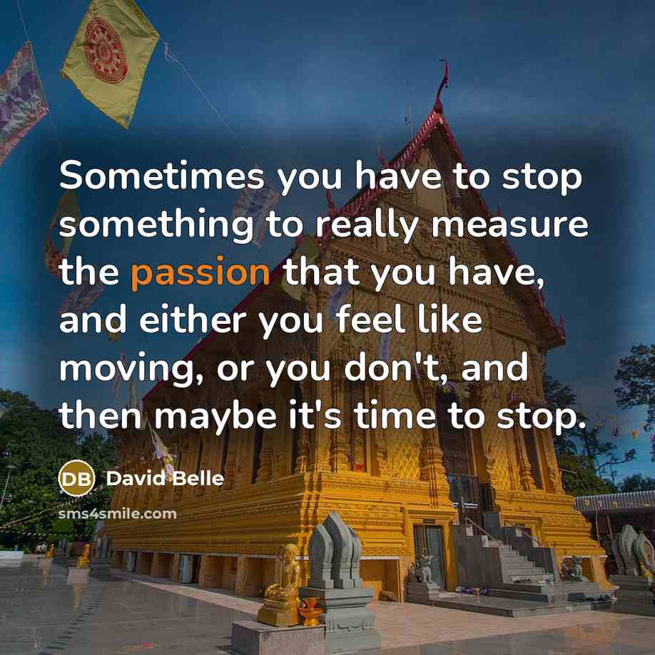 “Sometimes you have to stop something to really measure the…” quote by David Belle