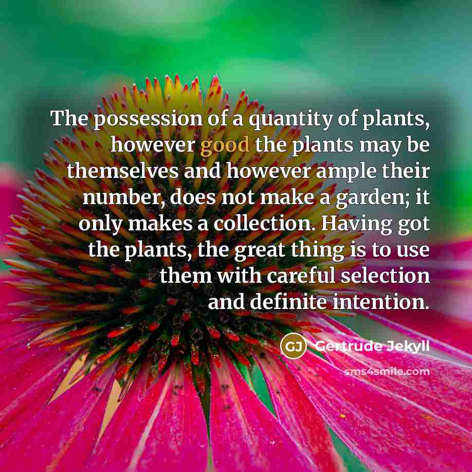 “The possession of a quantity of plants, however good the…” quote by Gertrude Jekyll