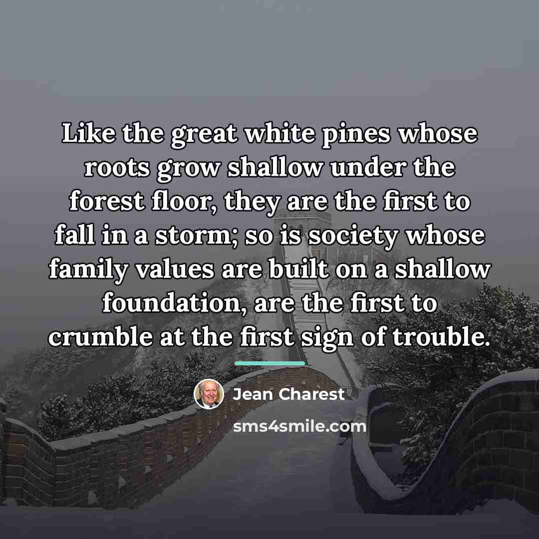 “Like the great white pines whose roots grow shallow under…” quote by Jean Charest