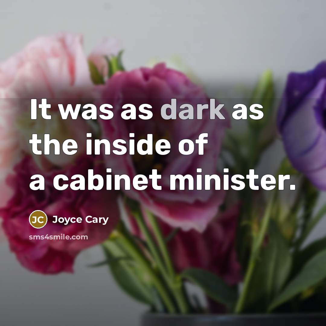 “It was as dark as the inside of a cabinet…” quote by Joyce Cary