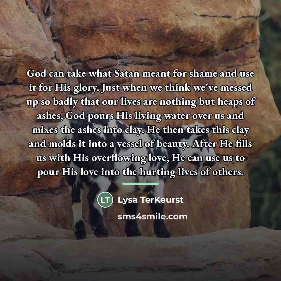 “God can take what Satan meant for shame and use…” quote by Lysa TerKeurst