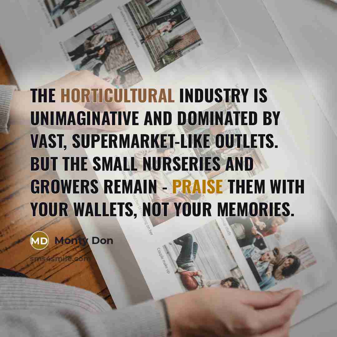 “The horticultural industry is unimaginative and dominated by vast, supermarket-like outlets. But the small nurseries and growers remain - praise them with your wallets, not your memories.” quote by Monty Don