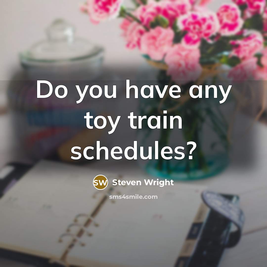 “Do you have any toy train schedules?…” quote by Steven Wright