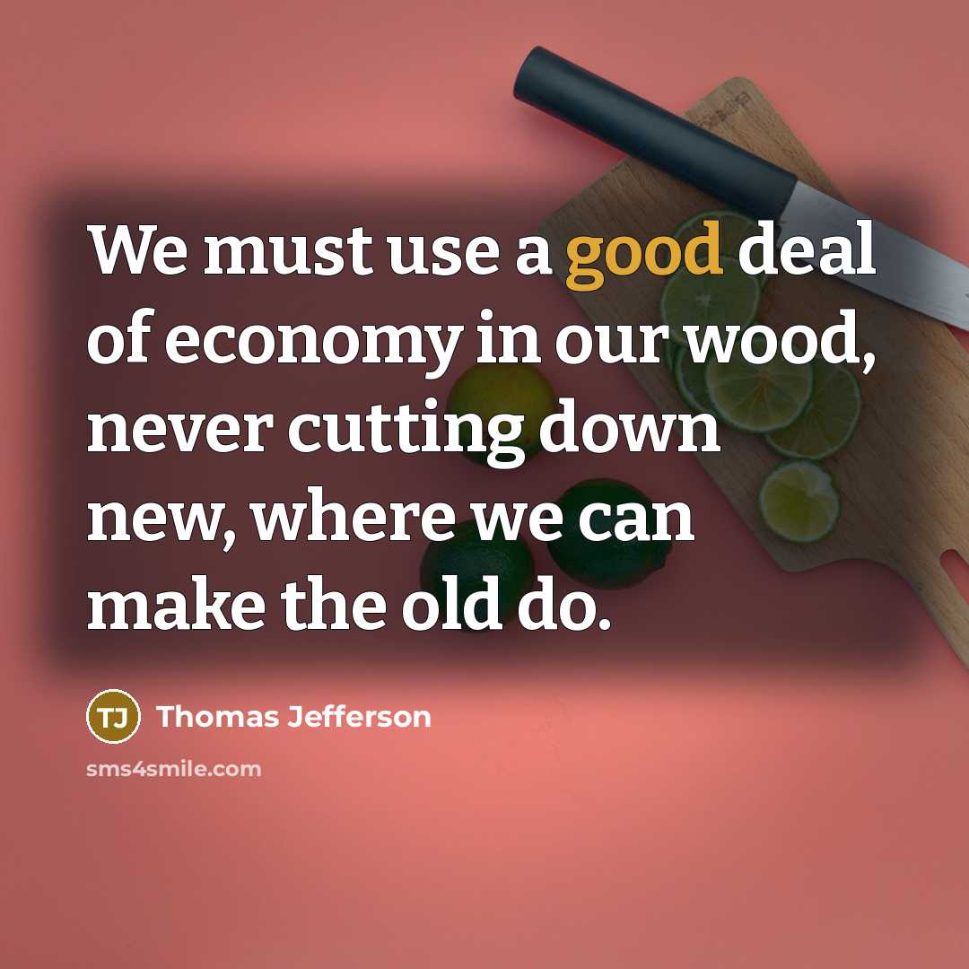“We must use a good deal of economy in our…” quote by Thomas Jefferson