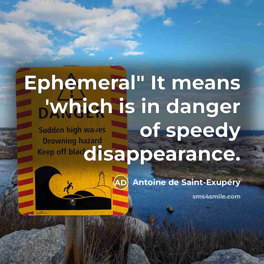 “Ephemeral" It means 'which is in danger of speedy disappearance.…” quote by Antoine de Saint-Exupery