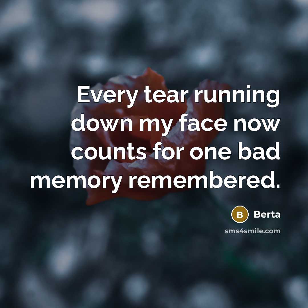 “Every tear running down my face now counts for one bad memory remembered.” quote by Berta