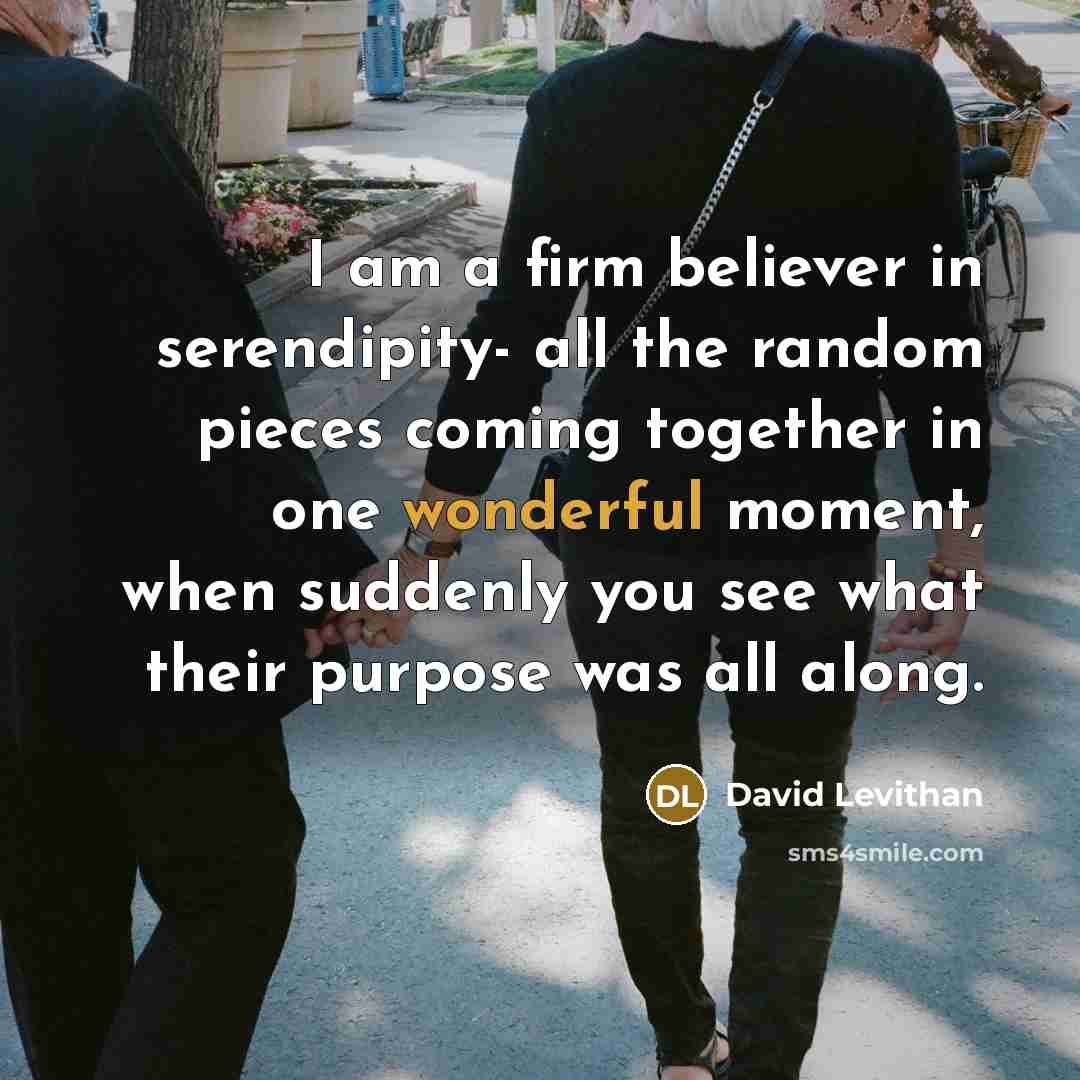 “I am a firm believer in serendipity- all the random…” quote by David Levithan