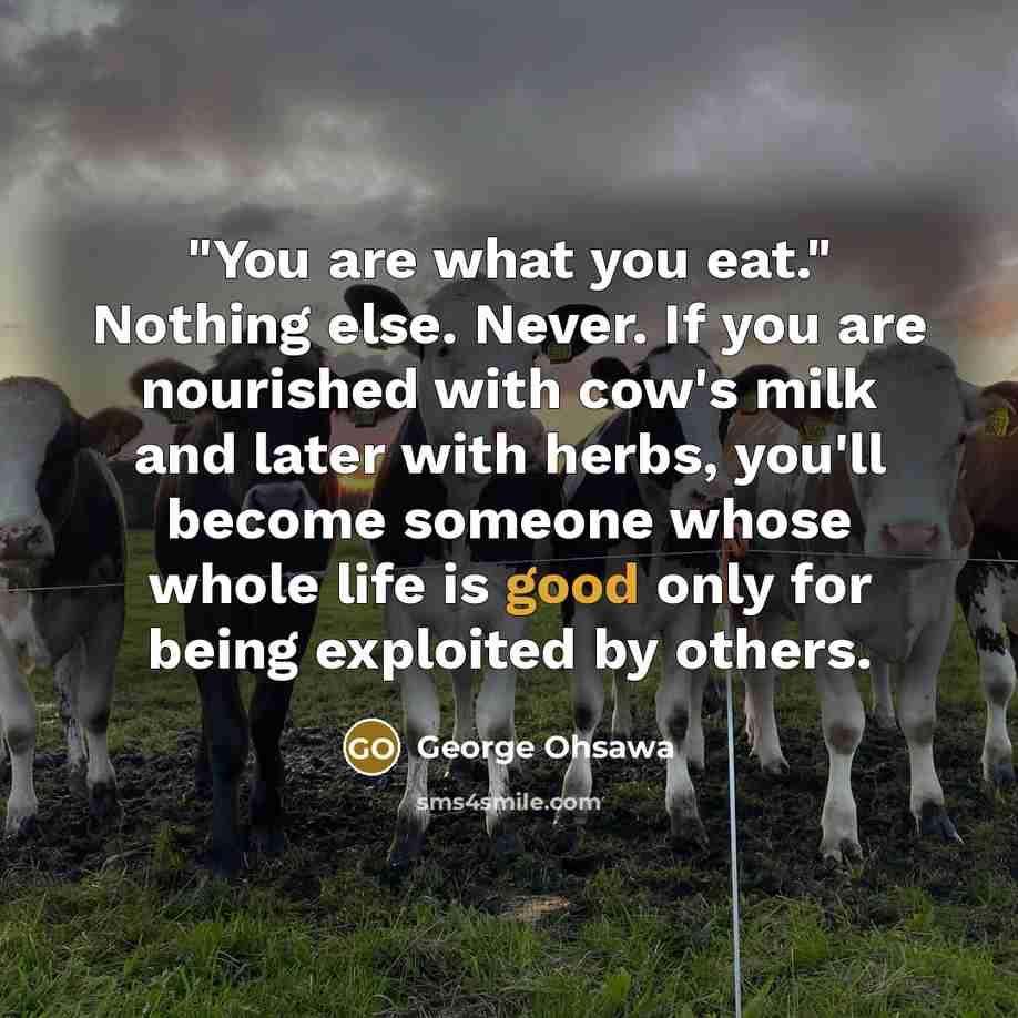 “"You are what you eat." Nothing else. Never. If you…” quote by George Ohsawa