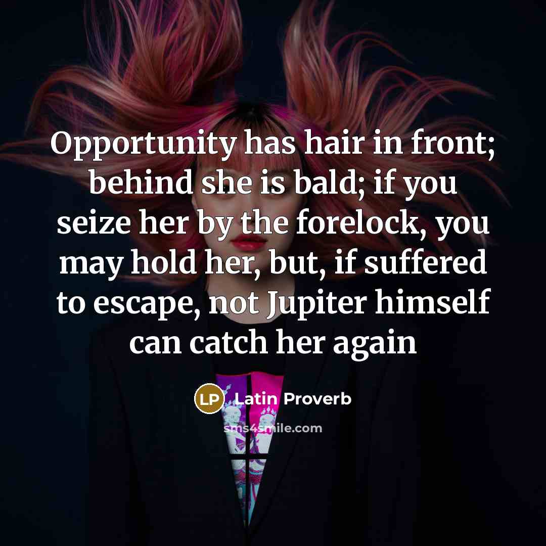 “Opportunity has hair in front; behind she is bald; if…” quote by Latin Proverb