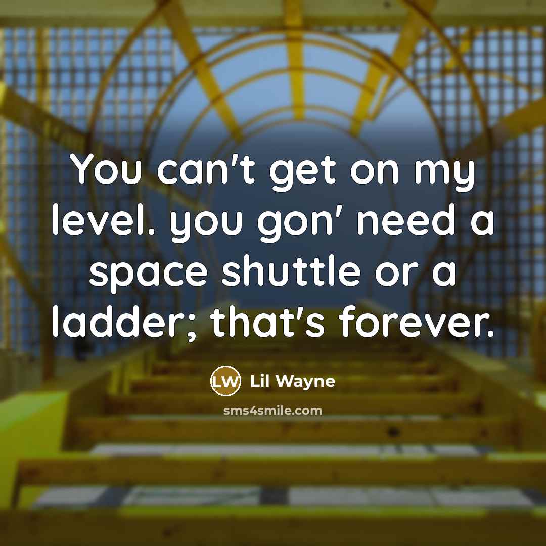“You can't get on my level. you gon' need a…” quote by Lil Wayne