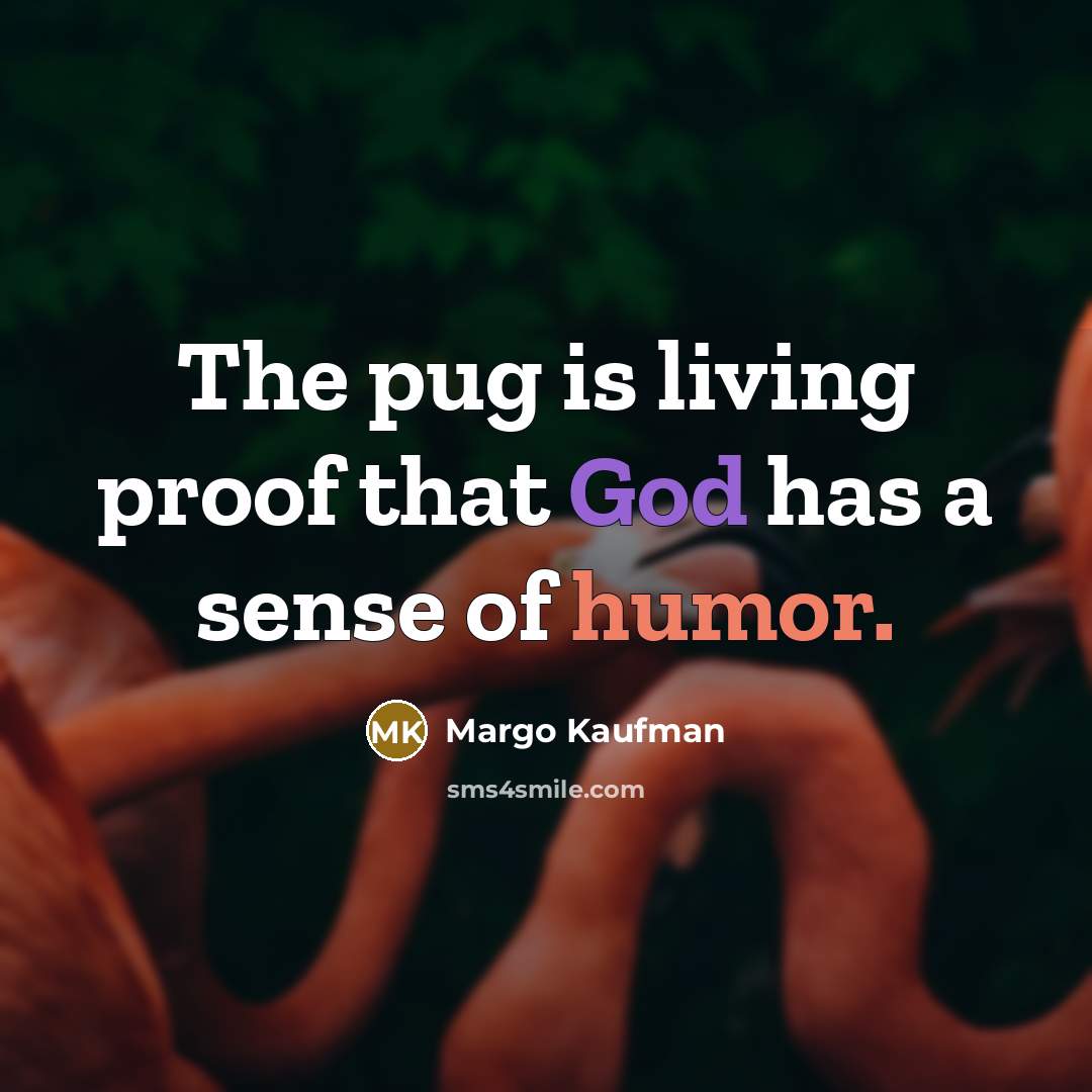 “The pug is living proof that God has a sense of humor.” quote by Margo Kaufman