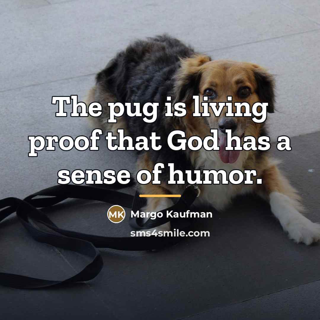 “The pug is living proof that God has a sense…” quote by Margo Kaufman