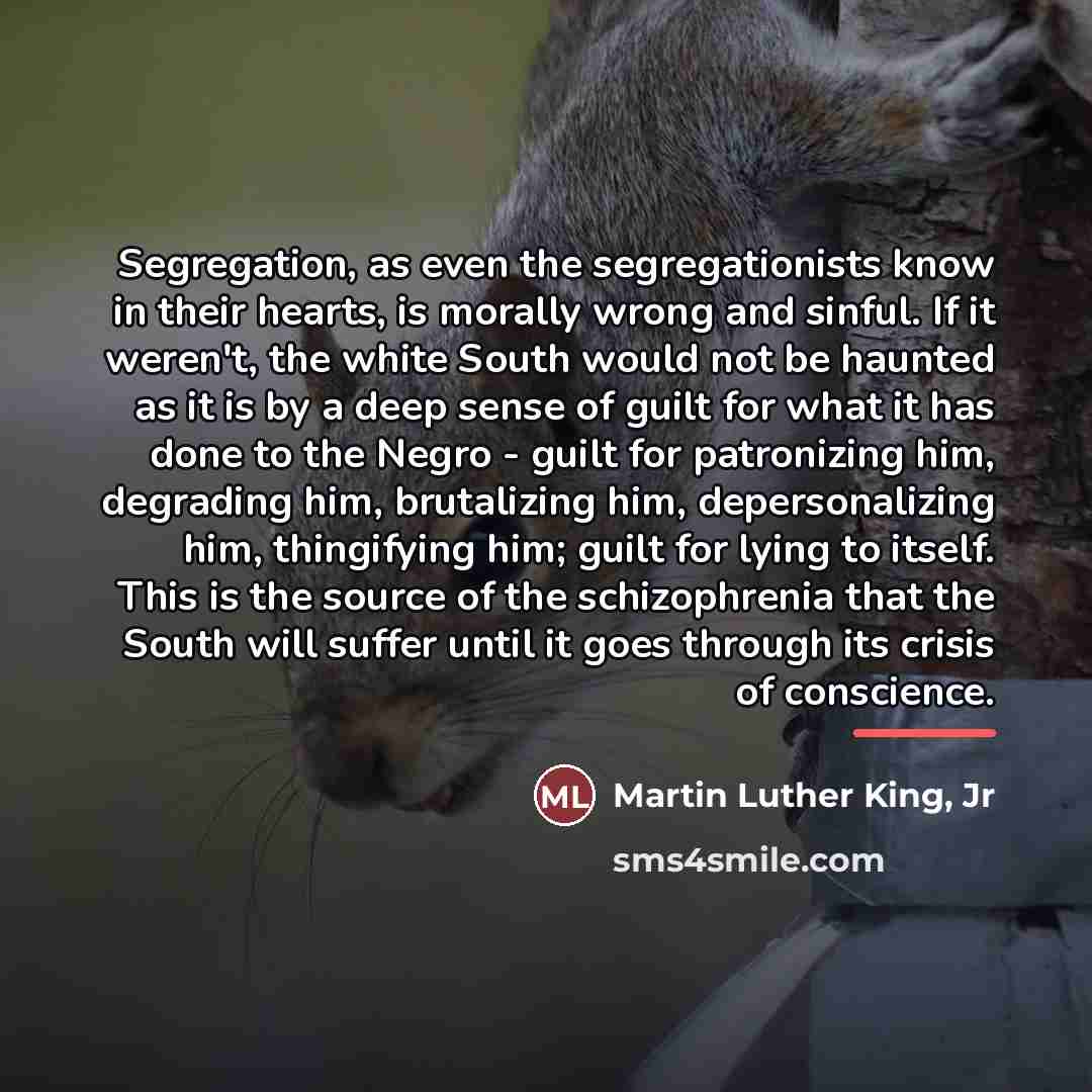 “Segregation, as even the segregationists know in their hearts, is…” quote by Martin Luther King, Jr