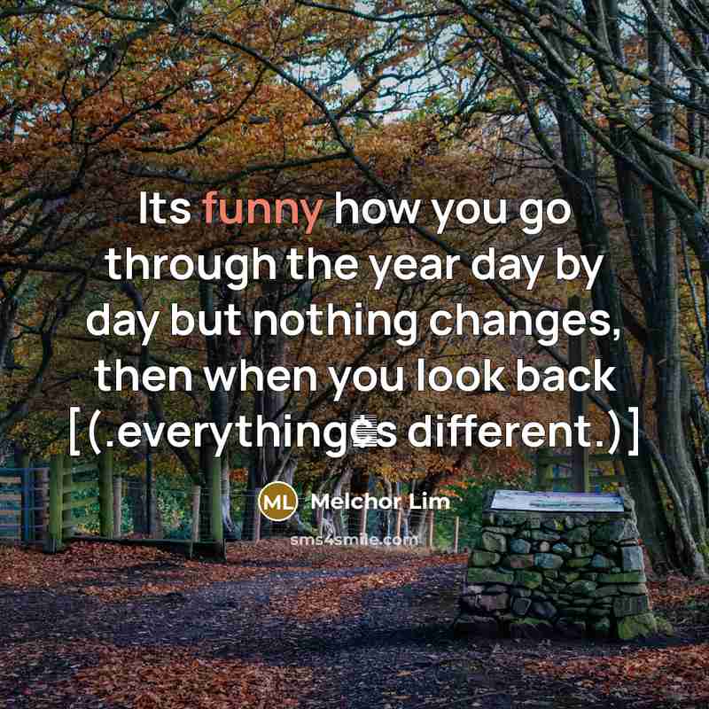 “Its funny how you go through the year day by…” quote by Melchor Lim