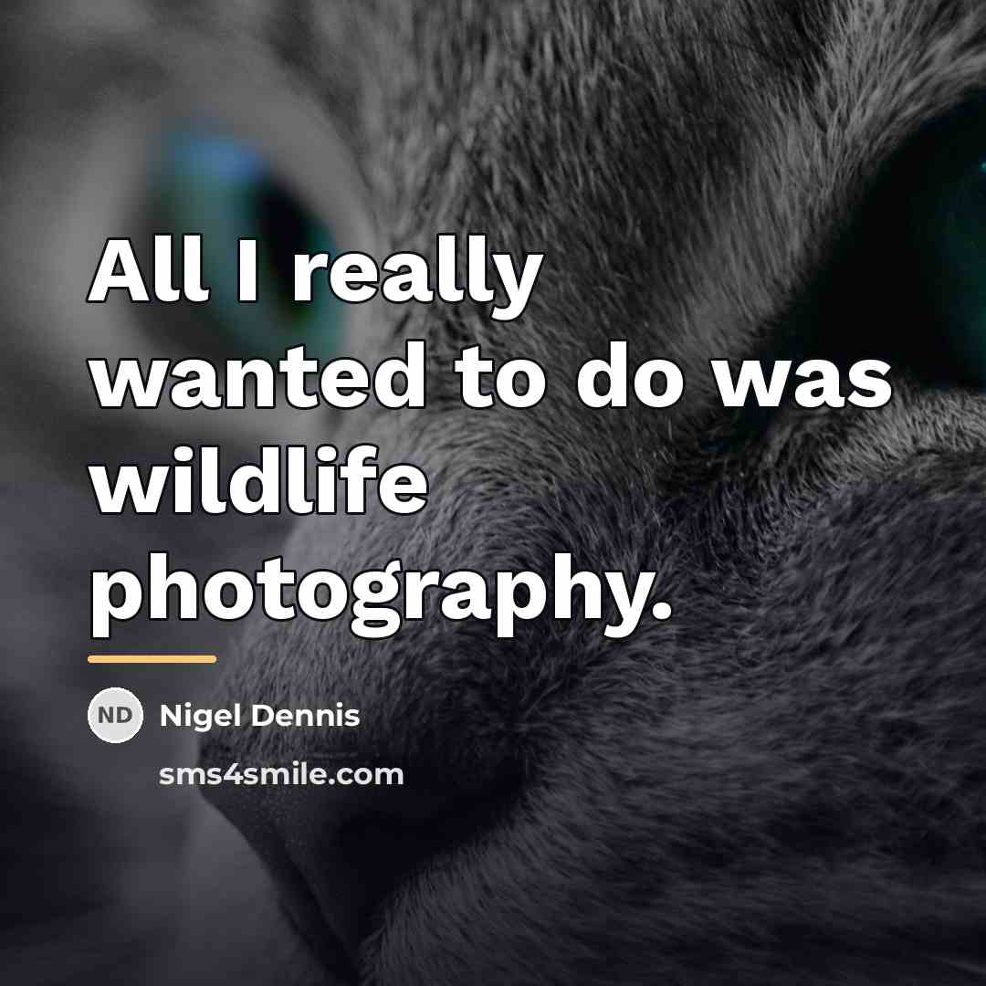 “All I really wanted to do was wildlife photography.…” quote by Nigel Dennis