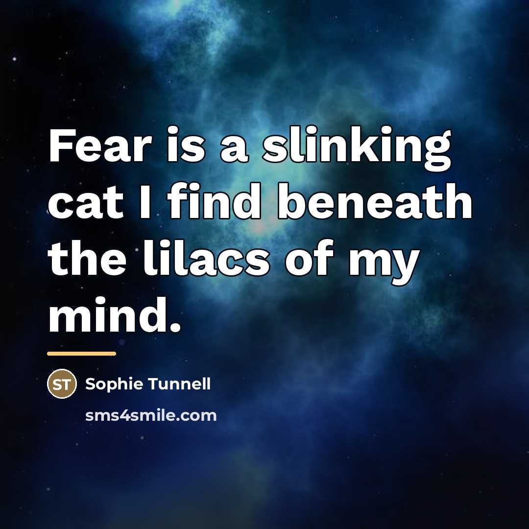 “Fear is a slinking cat I find beneath the lilacs…” quote by Sophie Tunnell