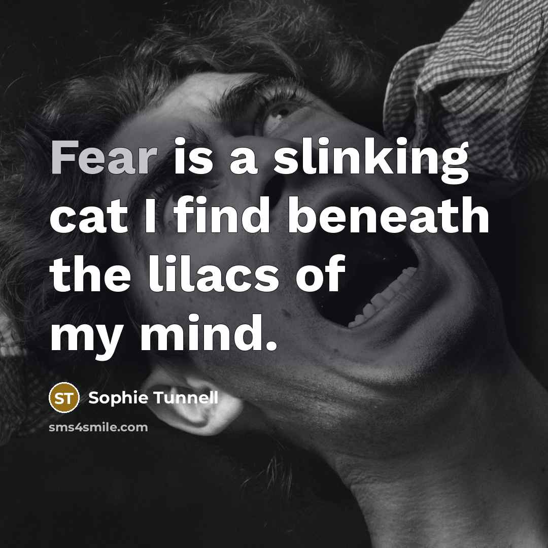 “Fear is a slinking cat I find beneath the lilacs of my mind.” quote by Sophie Tunnell