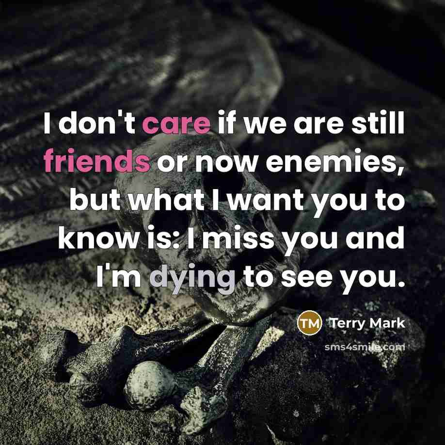 “I don't care if we are still friends or now…” quote by Terry Mark