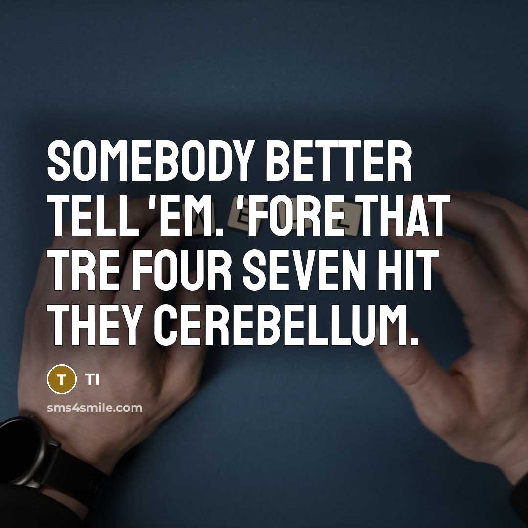 “Somebody better tell 'em. 'Fore that tre four seven hit…” quote by TI