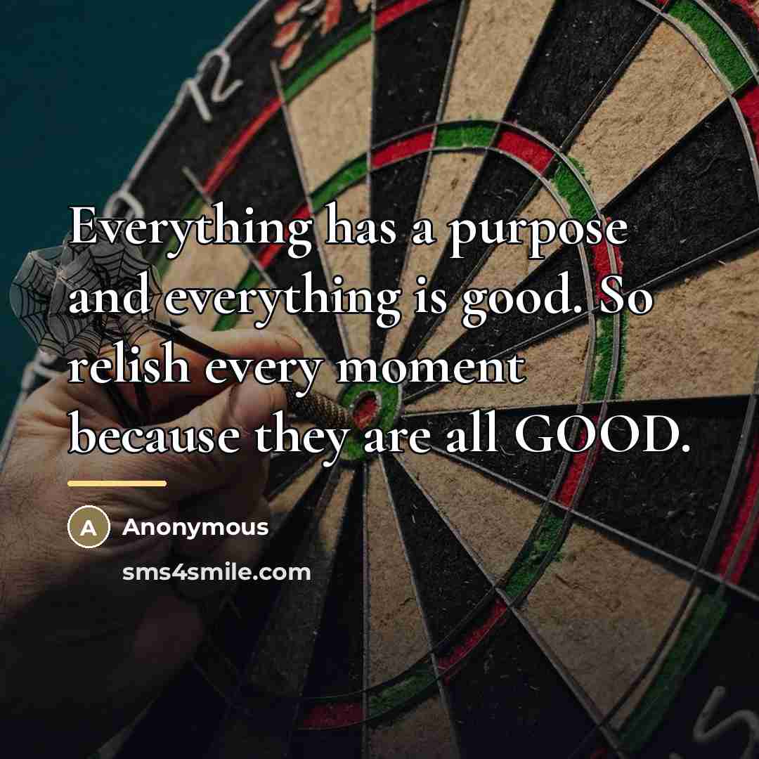 “Everything has a purpose and everything is good. So relish…” quote by Anonymous