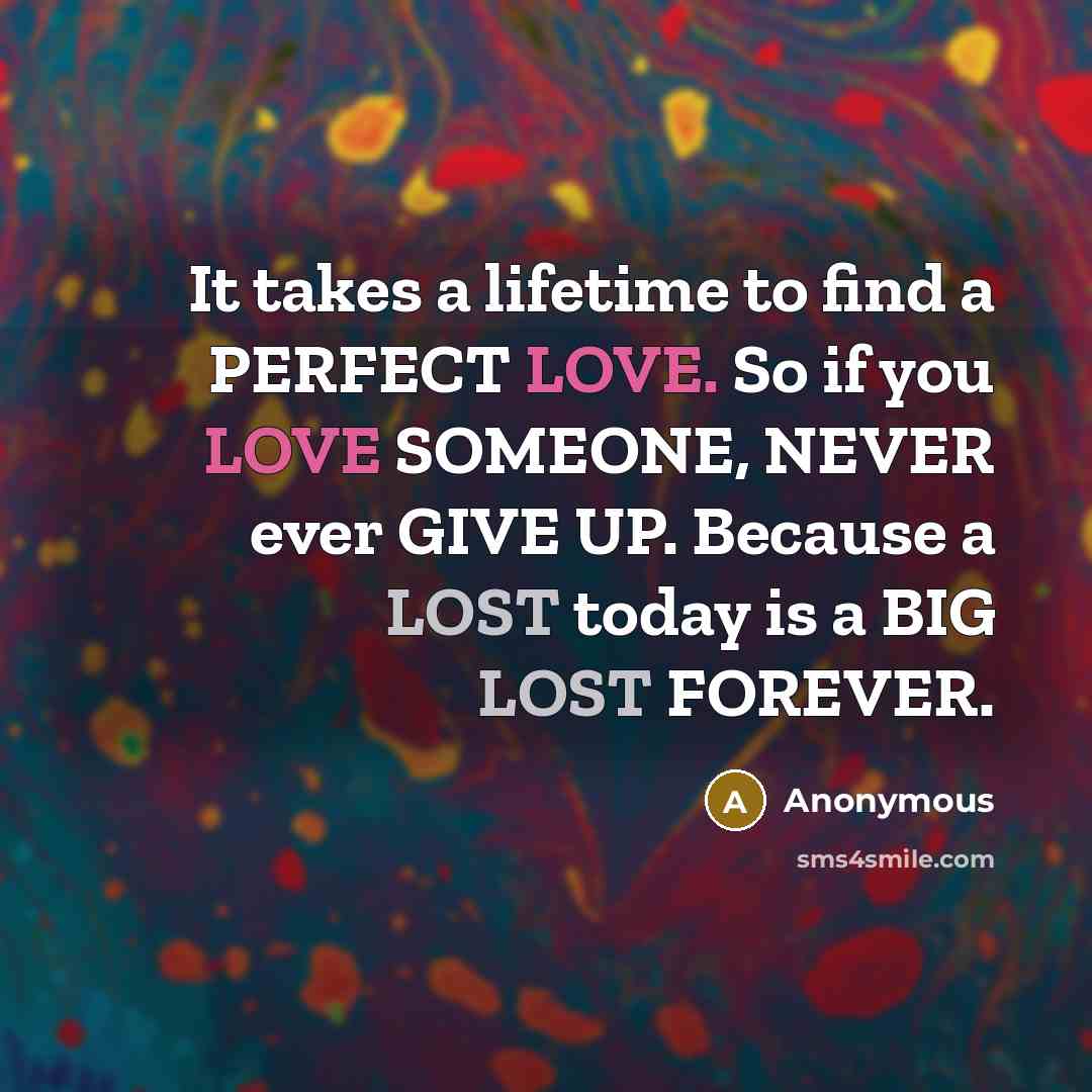 “It takes a lifetime to find a PERFECT LOVE. So if you LOVE SOMEONE, NEVER ever GIVE UP. Because a LOST today is a BIG LOST FOREVER.” quote by Anonymous
