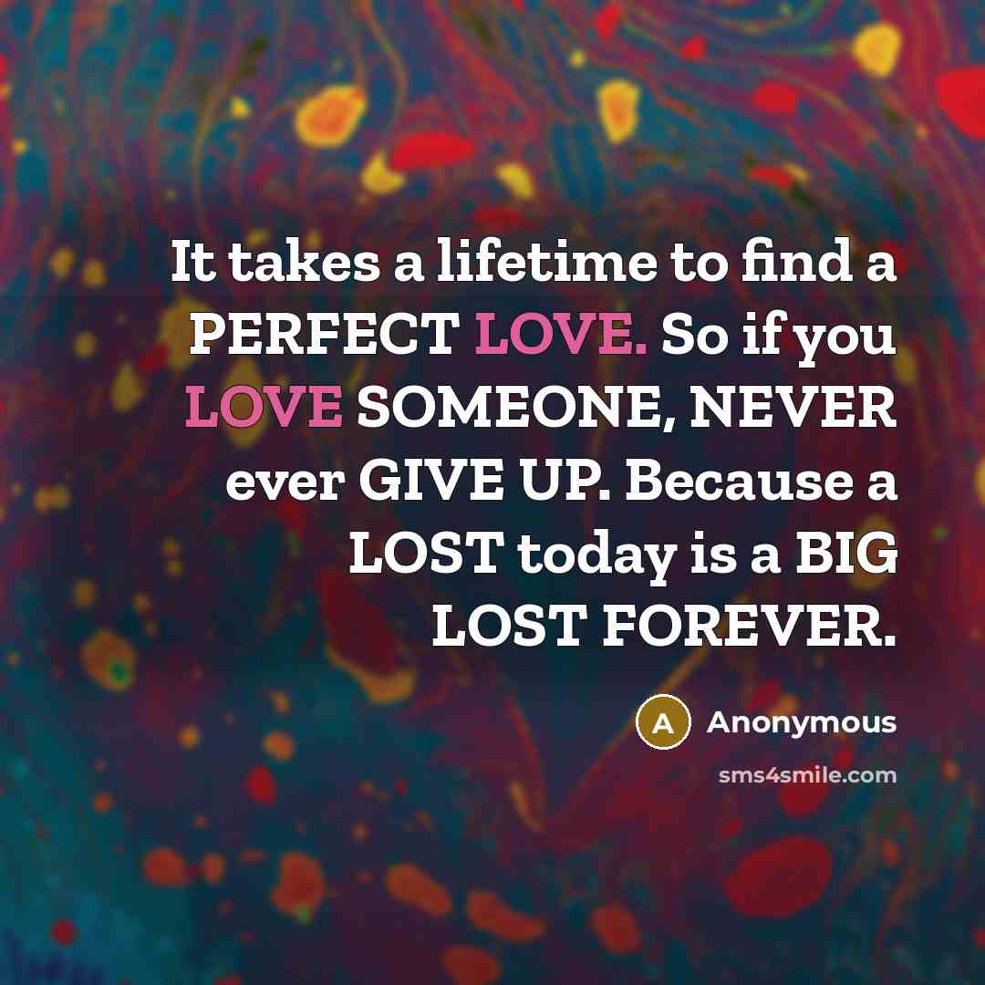 “It takes a lifetime to find a PERFECT LOVE. So if you LOVE SOMEONE, NEVER ever GIVE UP. Because a LOST today is a BIG LOST FOREVER.” quote by Anonymous