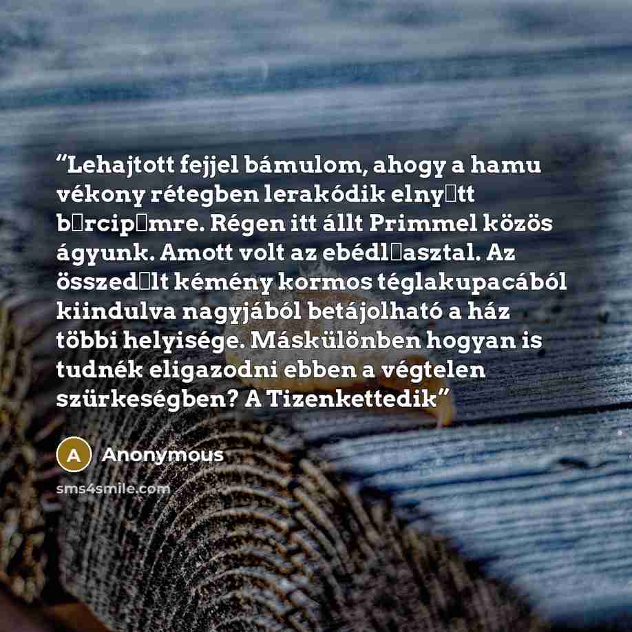 “Lehajtott fejjel bámulom, ahogy a hamu vékony rétegben lerakódik elnyűtt bőrcipőmre. Régen itt állt Primmel közös ágyunk. Amott volt az ebédlőasztal. Az összedőlt kémény kormos téglakupacából kiindulva nagyjából betájolható a ház többi helyisége. Máskülönben hogyan is tudnék eligazodni ebben a…” quote by Anonymous