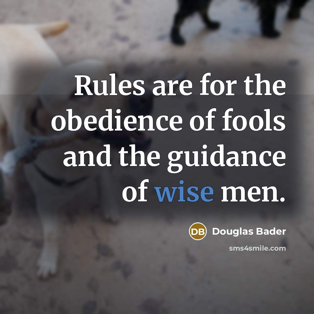 “Rules are for the obedience of fools and the guidance…” quote by Douglas Bader
