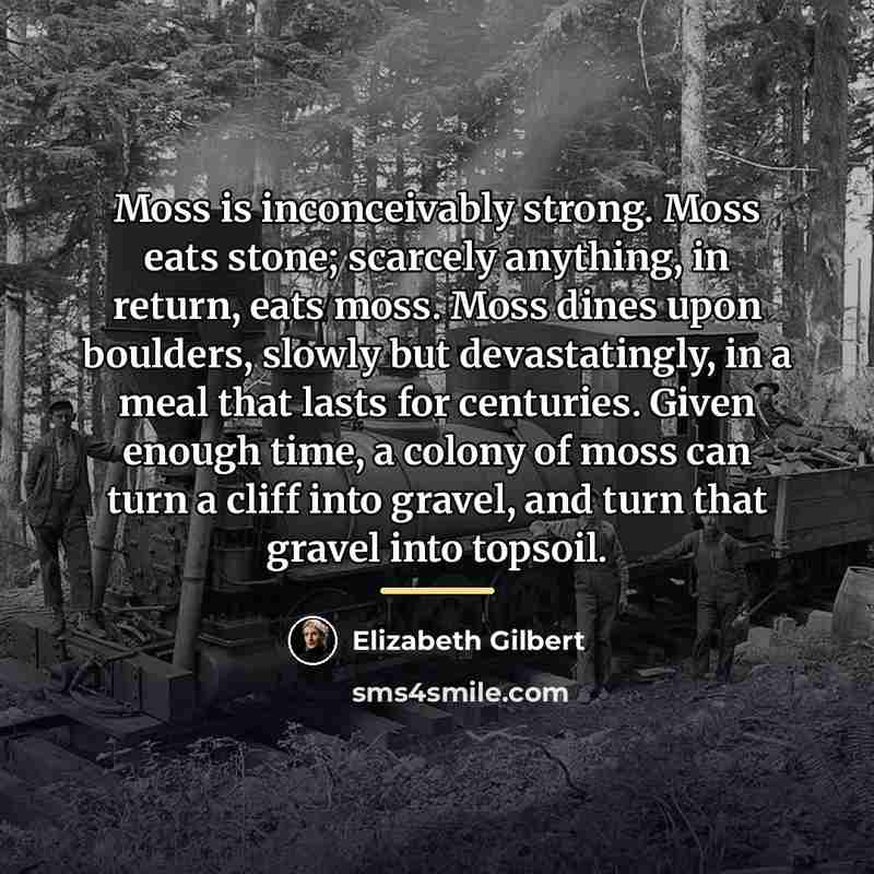 “Moss is inconceivably strong. Moss eats stone; scarcely anything, in…” quote by Elizabeth Gilbert