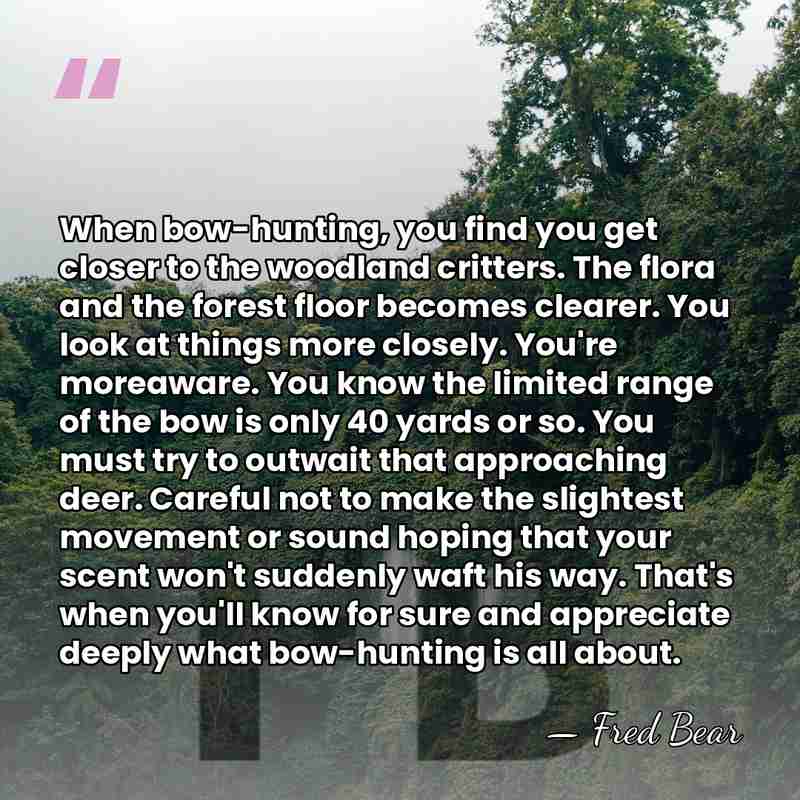 When bow-hunting, you find you get closer to the woodland critters. The&hellip; - Fred Bear