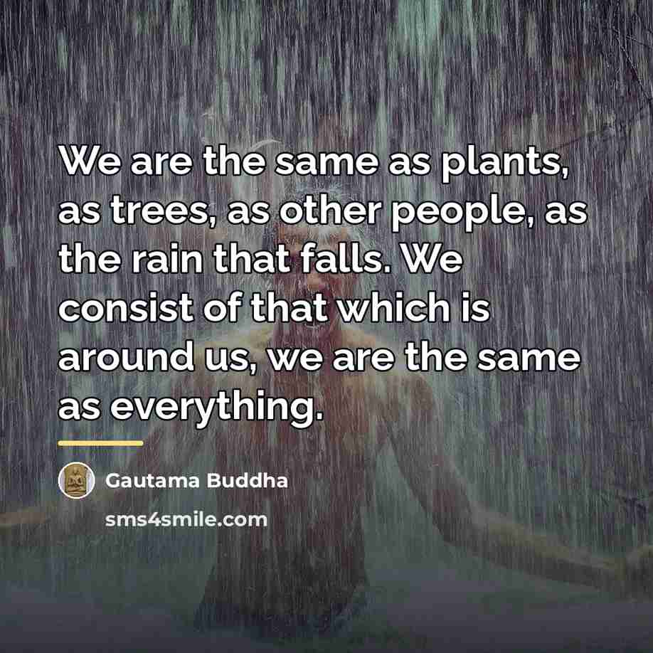 “We are the same as plants, as trees, as other…” quote by Gautama Buddha