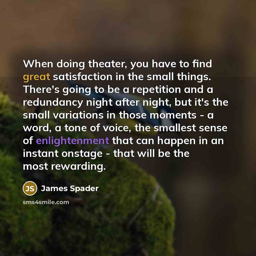 “When doing theater, you have to find great satisfaction in the small things. There's going to be a repetition and a redundancy night after night, but it's the small variations in those moments - a word, a tone of voice, the smallest sense of enlightenment that can happen in an instant onstage…” quote by James Spader