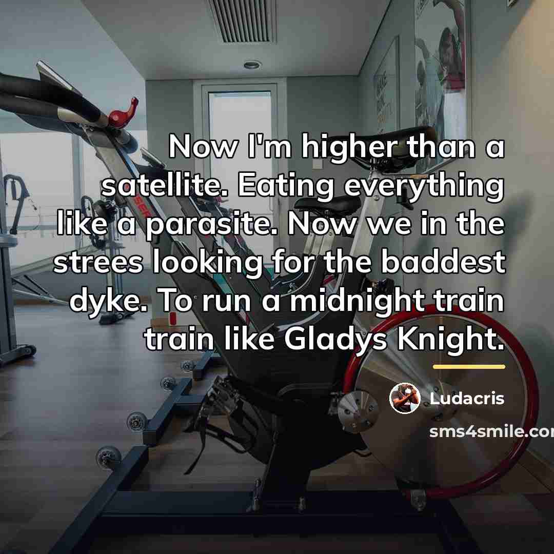 “Now I'm higher than a satellite. Eating everything like a…” quote by Ludacris