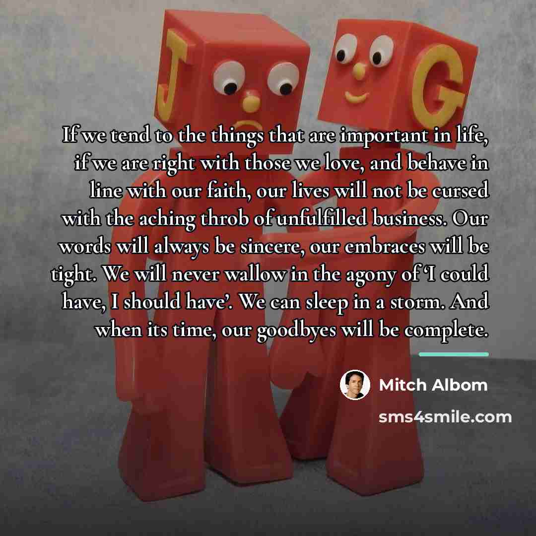 “If we tend to the things that are important in…” quote by Mitch Albom