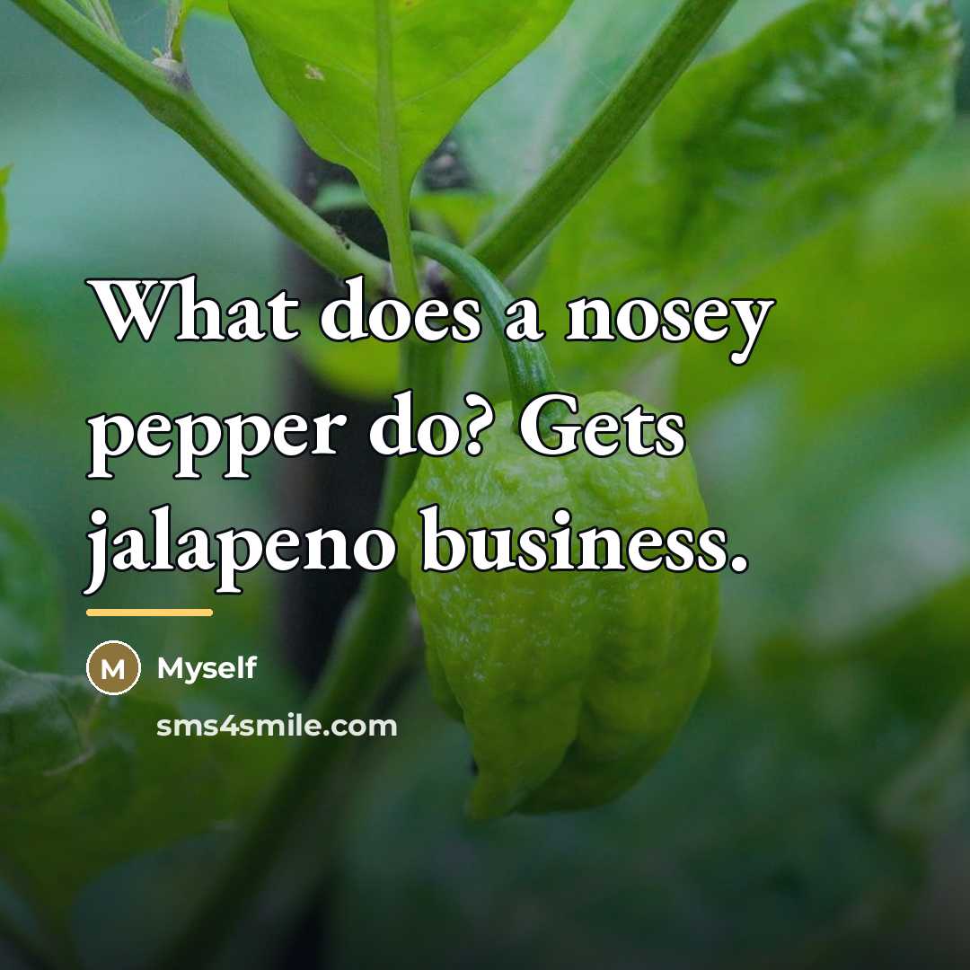 “What does a nosey pepper do? Gets jalapeno business.…” quote by Myself