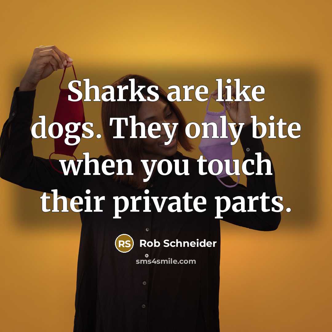 “Sharks are like dogs. They only bite when you touch…” quote by Rob Schneider
