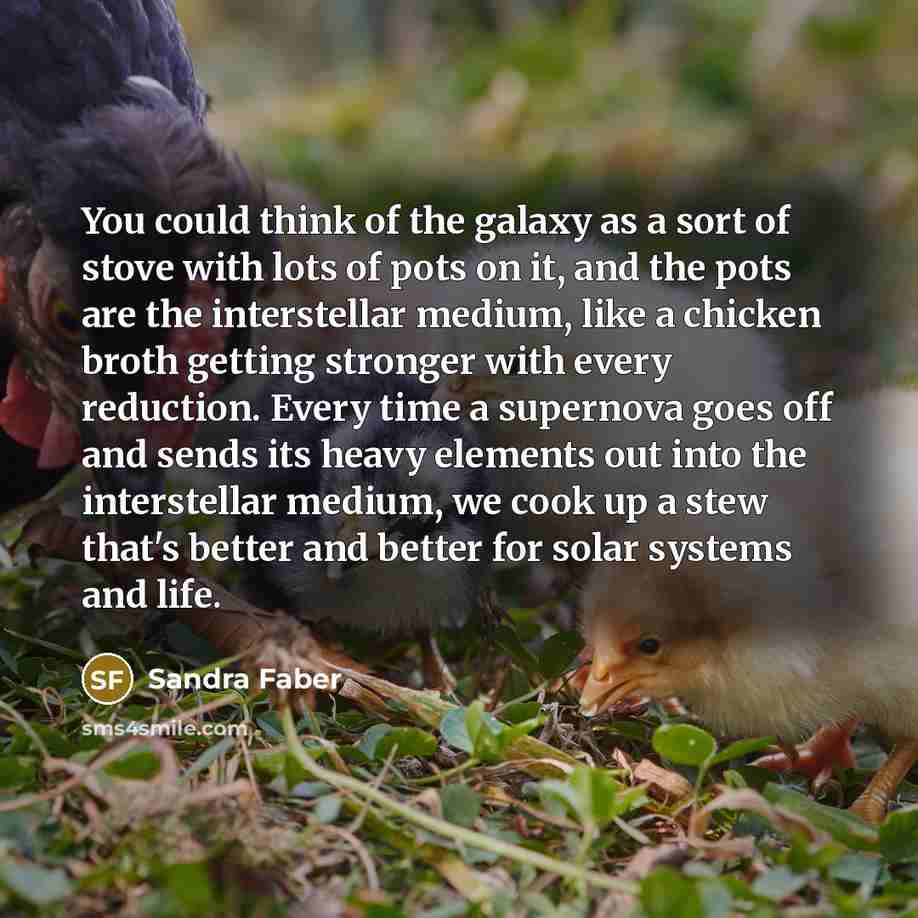 “You could think of the galaxy as a sort of…” quote by Sandra Faber