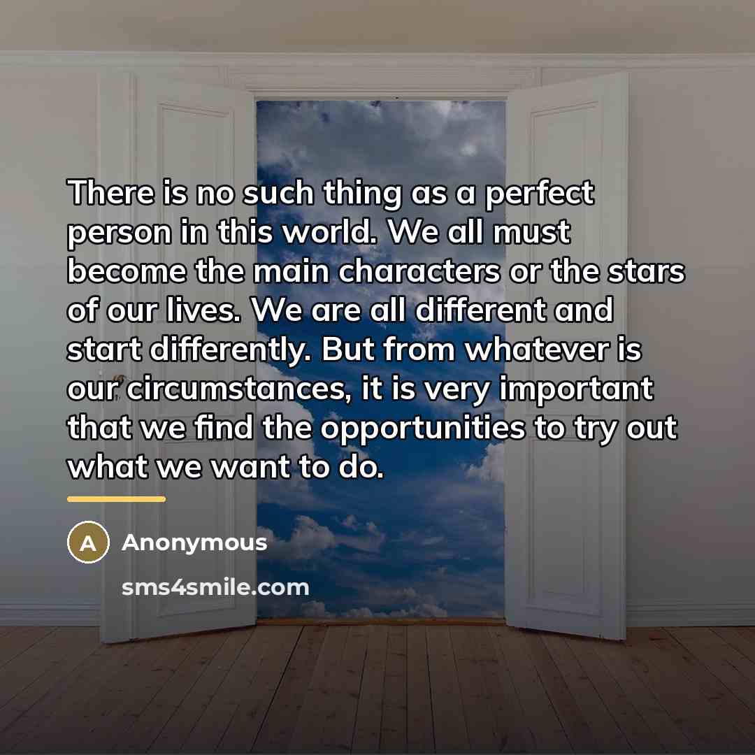“There is no such thing as a perfect person in…” quote by Anonymous