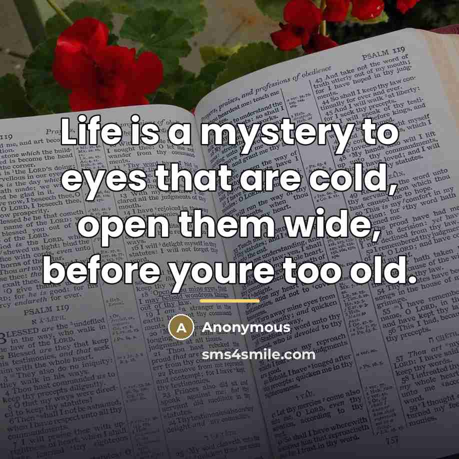 “Life is a mystery to eyes that are cold, open…” quote by Anonymous