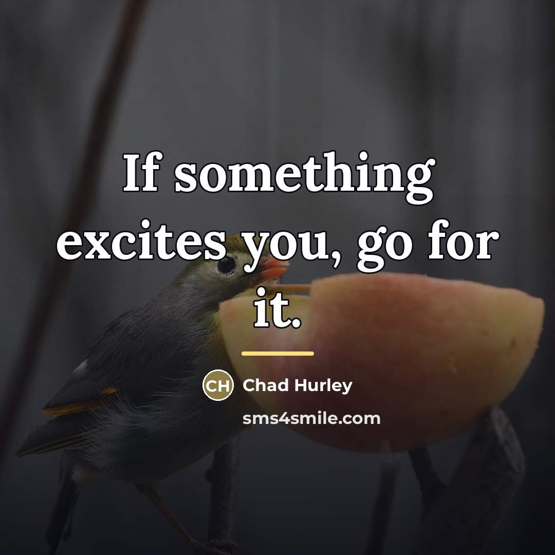 “If something excites you, go for it.…” quote by Chad Hurley