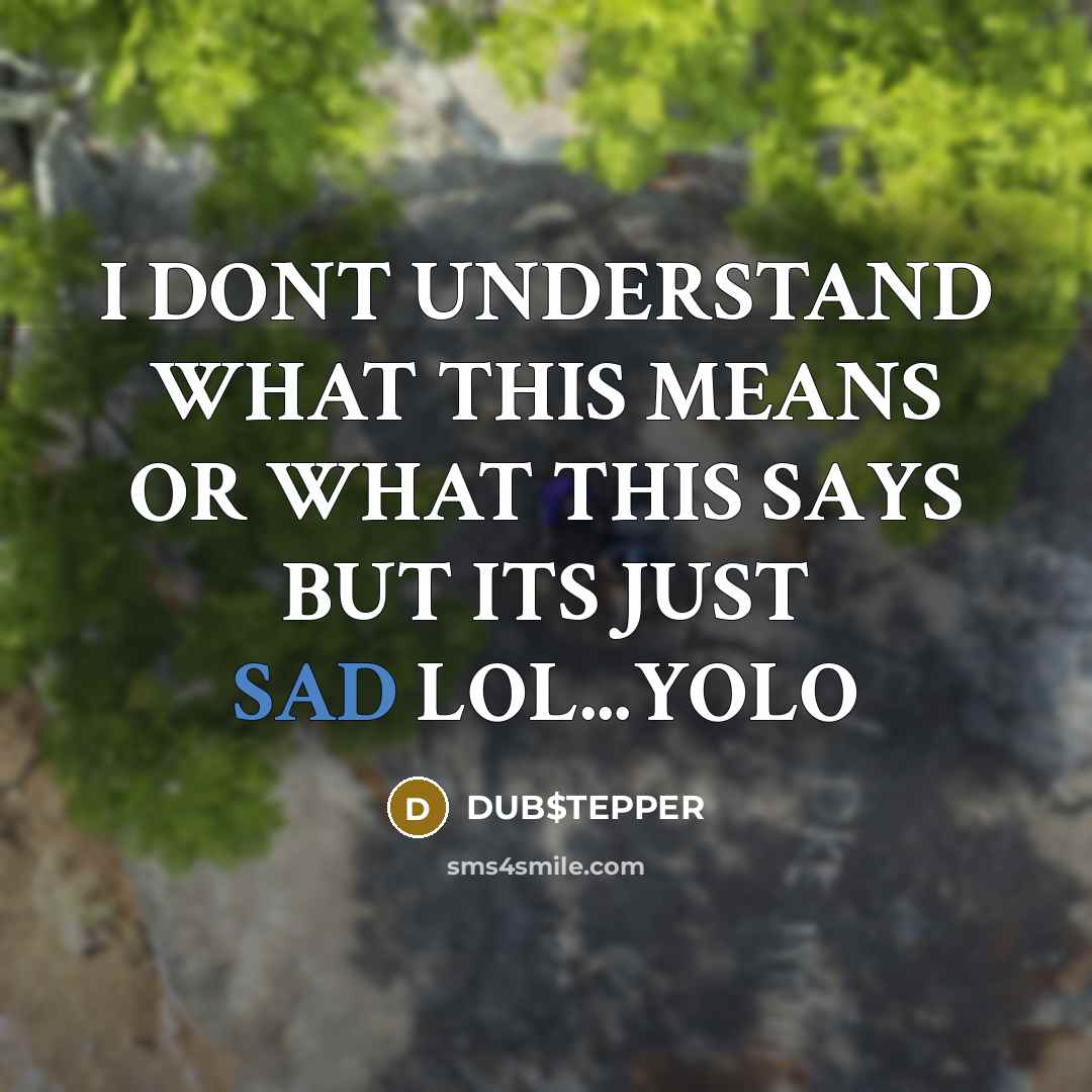 “I DONT UNDERSTAND WHAT THIS MEANS OR WHAT THIS SAYS BUT ITS JUST SAD LOL...YOLO” quote by DUB$TEPPER