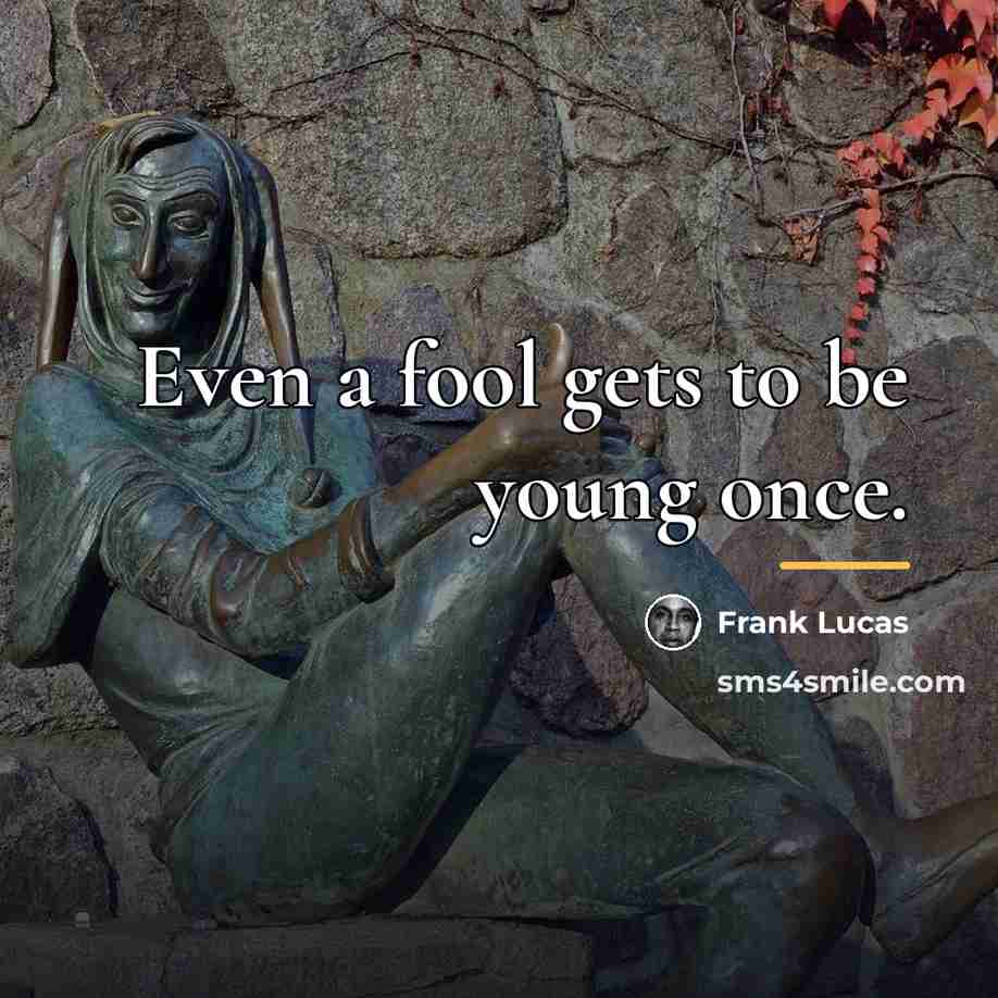 “Even a fool gets to be young once.…” quote by Frank Lucas