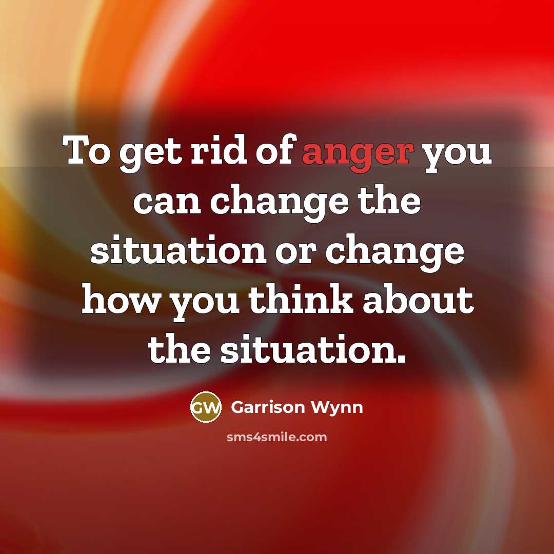 “To get rid of anger you can change the situation…” quote by Garrison Wynn