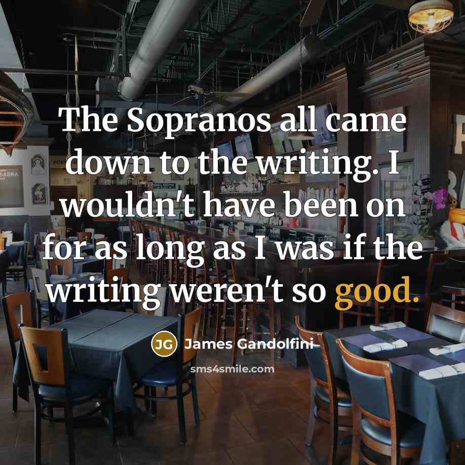 “The Sopranos all came down to the writing. I wouldn't…” quote by James Gandolfini