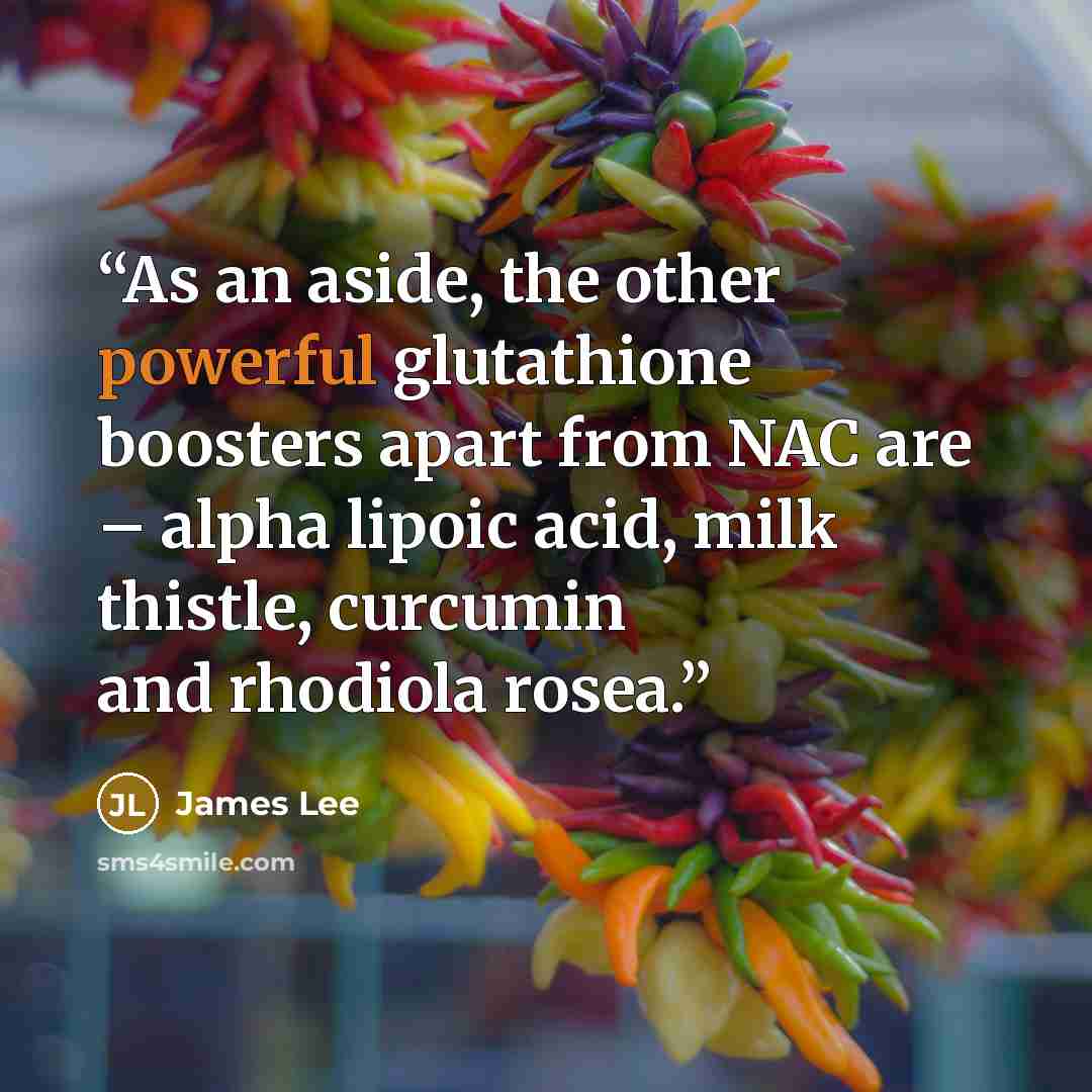 “As an aside, the other powerful glutathione boosters apart from NAC are – alpha lipoic acid, milk thistle, curcumin and rhodiola rosea.” quote by James Lee