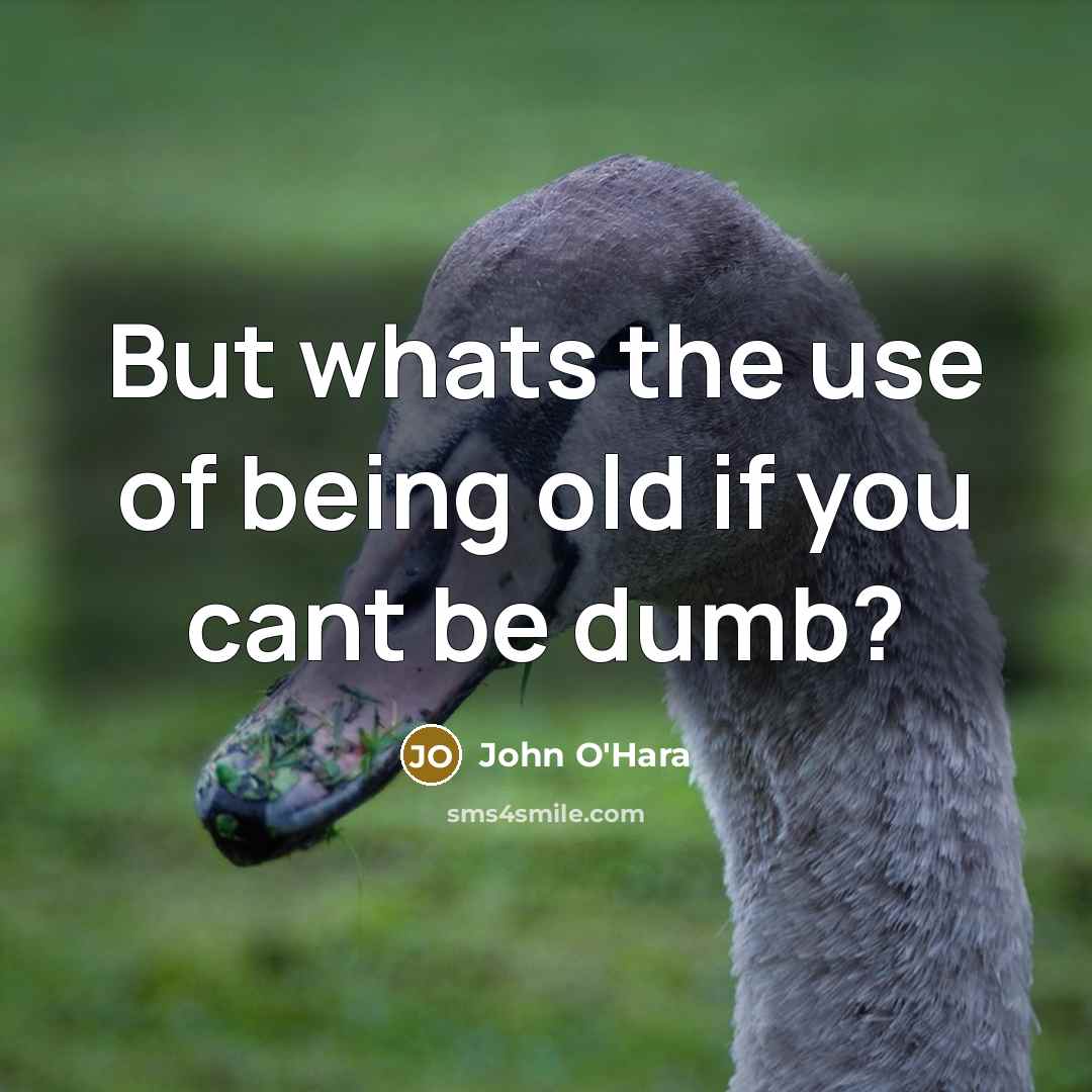 “But whats the use of being old if you cant…” quote by John O'Hara