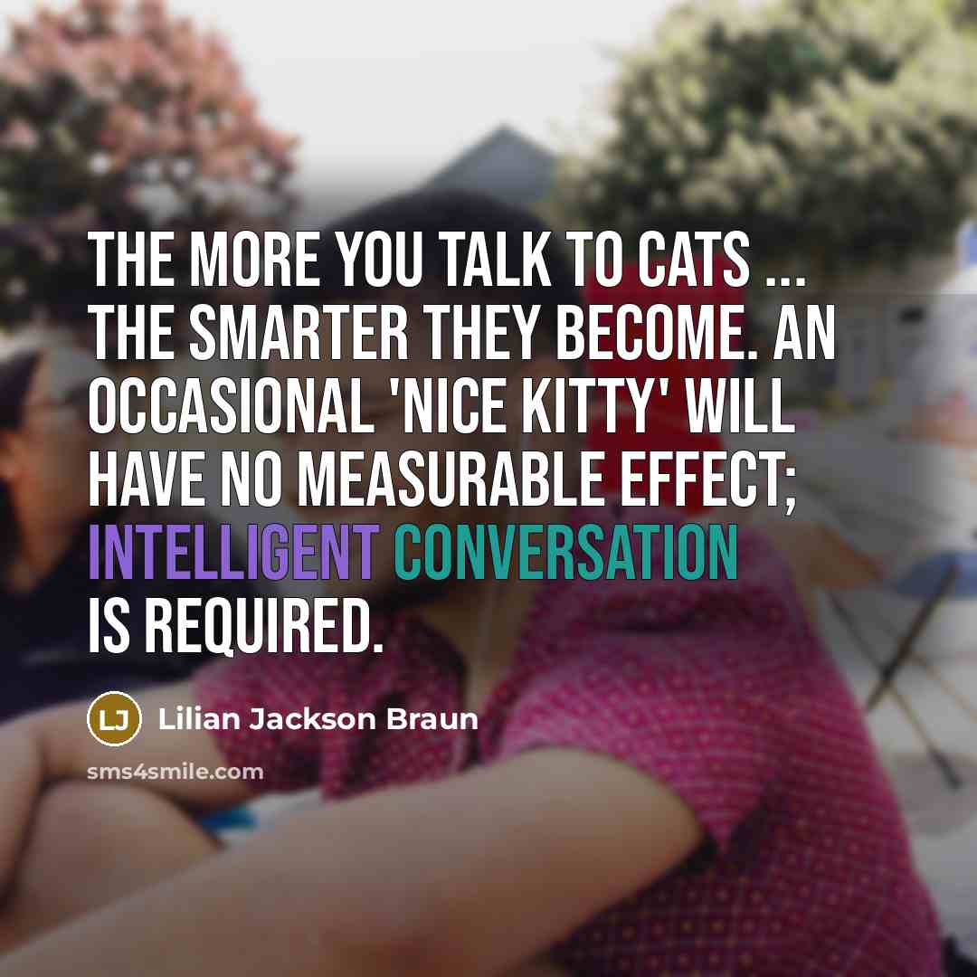 “The more you talk to cats ... the smarter they…” quote by Lilian Jackson Braun