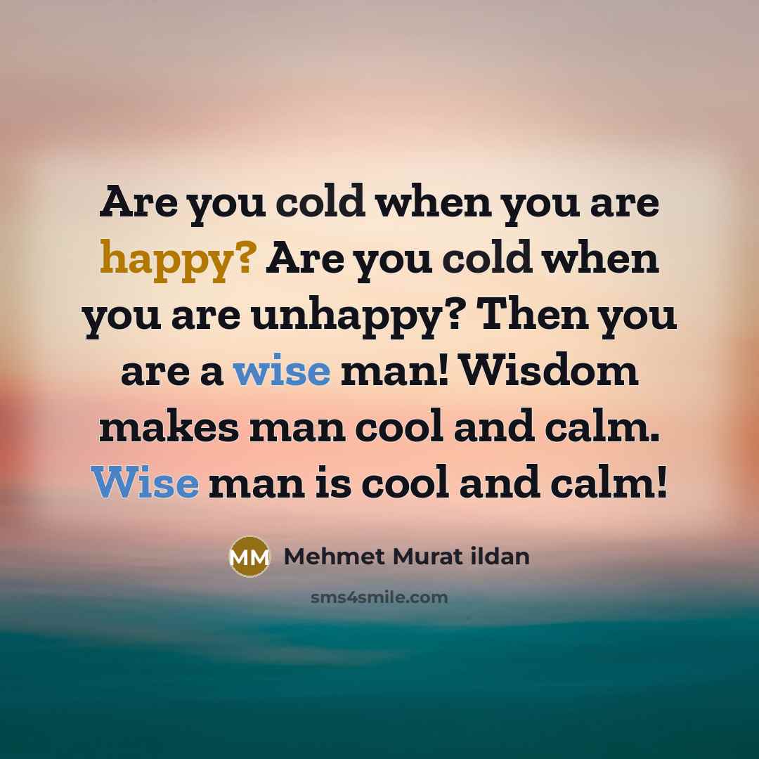 “Are you cold when you are happy? Are you cold…” quote by Mehmet Murat Ildan