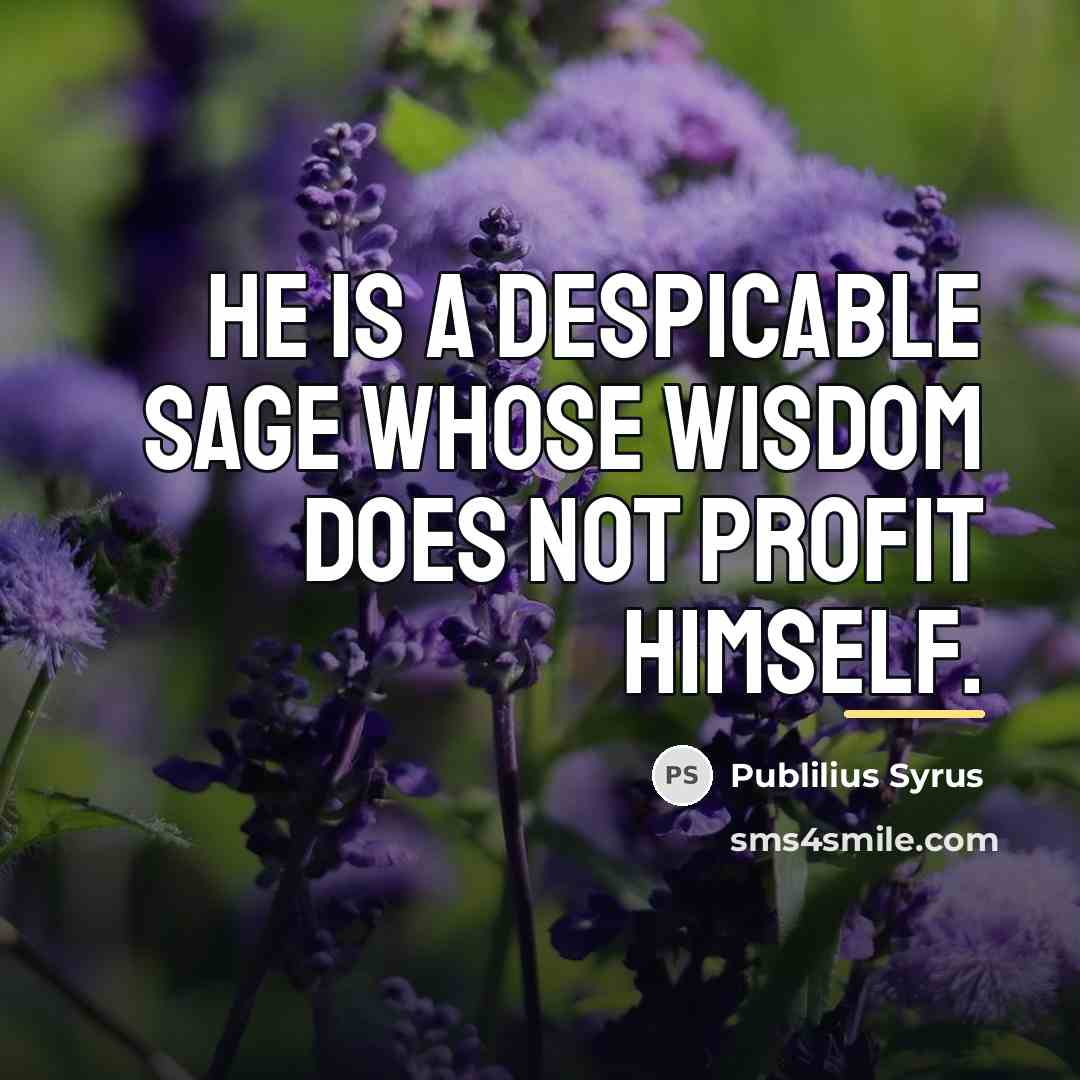 “He is a despicable sage whose wisdom does not profit…” quote by Publilius Syrus